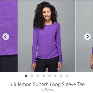 Lulu “superb” LS - iris flower
